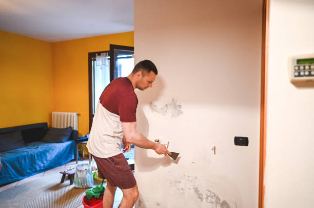 Best Emergency Mold Removal  in Filer, ID